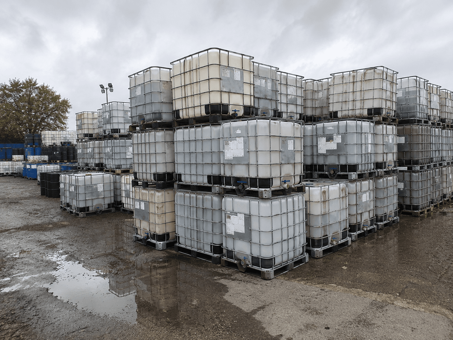 Outdoor yard with many stacked IBC totes collected from businesses for recycling and reconditioning